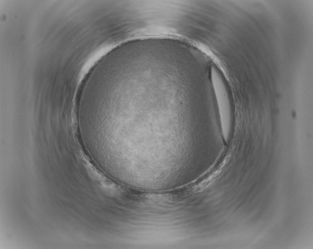 X0000058801469200510211827
