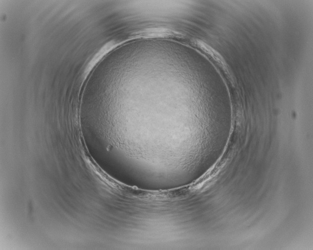 X0000058801473200510211827