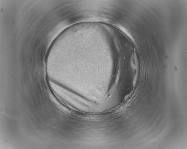 X0000058801476200510211826