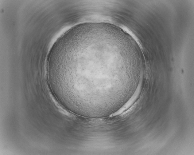 X0000058801477200510211826
