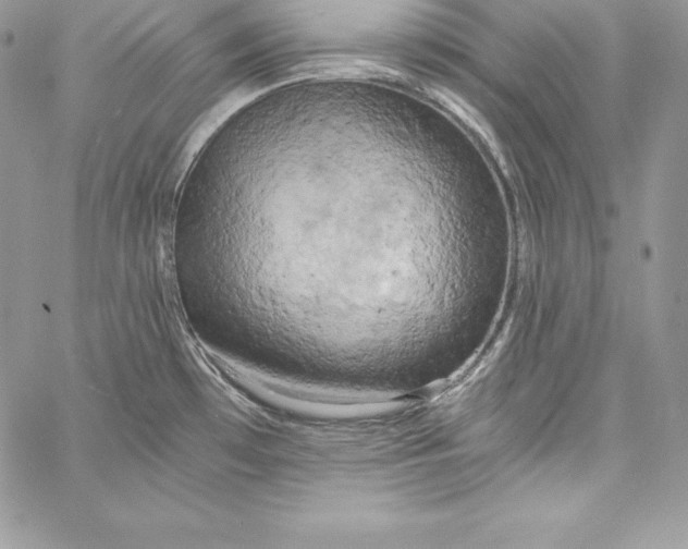 X0000058801481200510211826