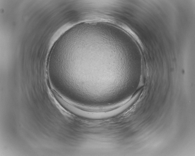 X0000058801485200510211826