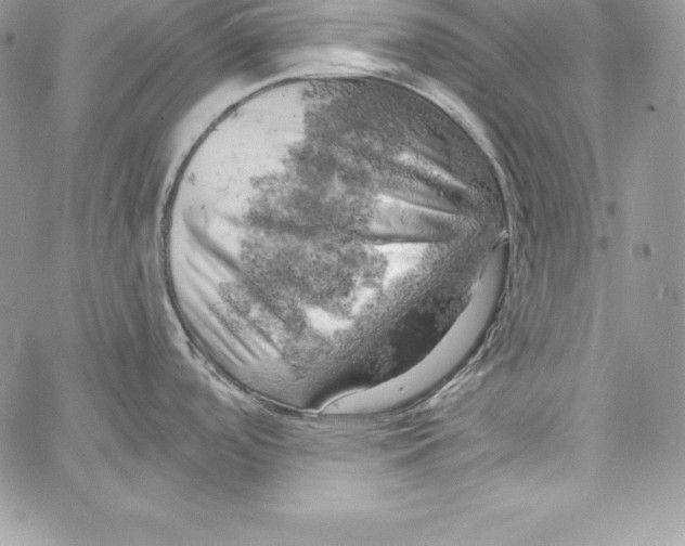 X0000058801488200510211826