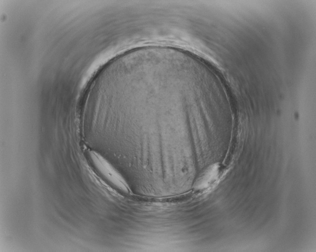 X0000058801506200510211826