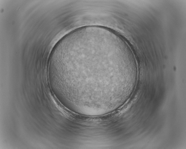 X0000058801513200510211826