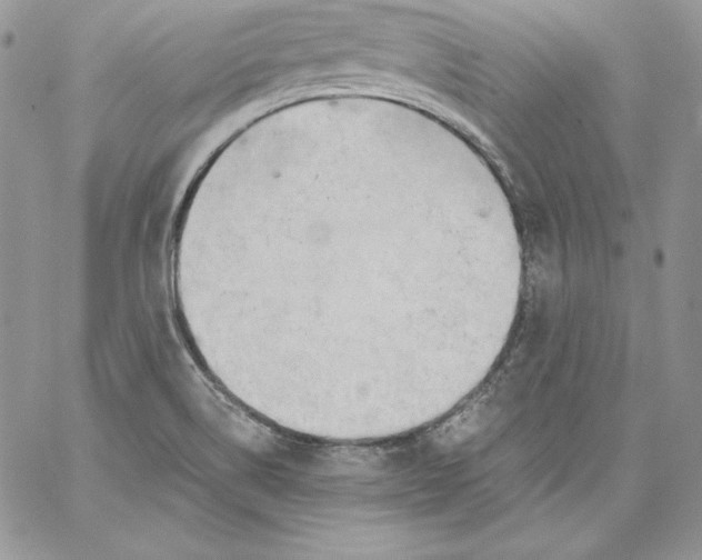 X0000058801514200510211826