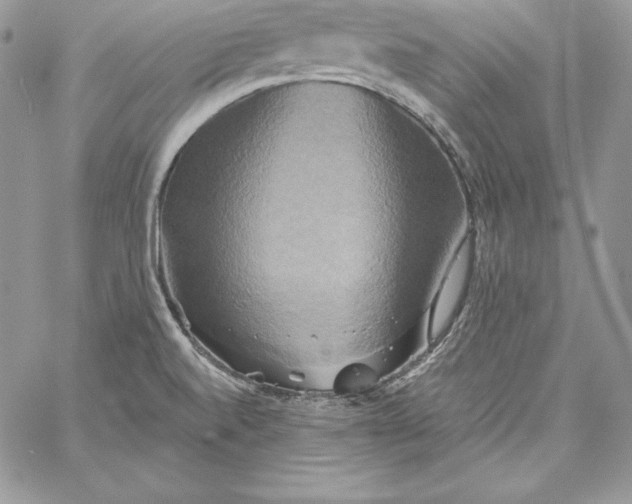 X0000058801520200510211826