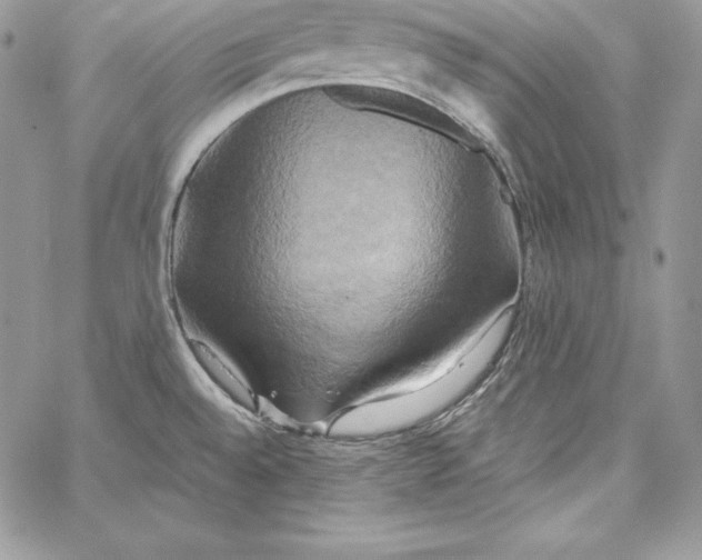 X0000058801528200510211826