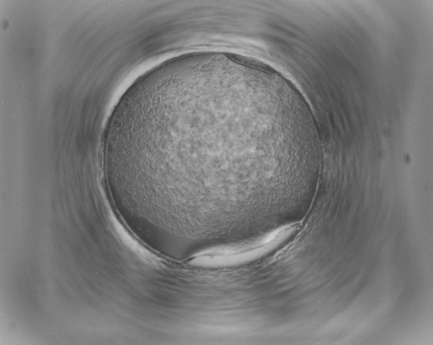 X0000058801531200510211826