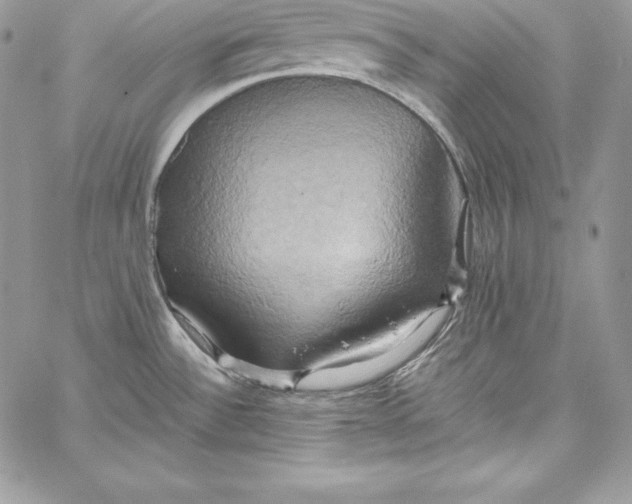 X0000058801532200510211826