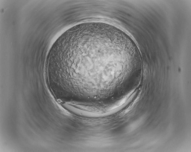 X0000058801533200510211826