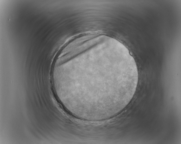 X0000058800002200510282116