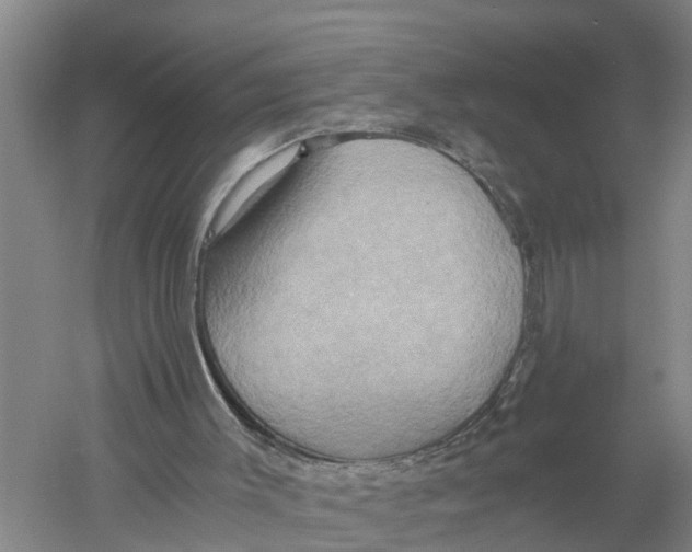 X0000058800003200510282116
