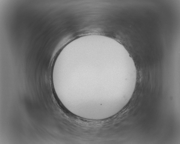 X0000058800004200510282116