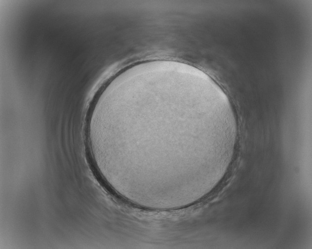 X0000058800007200510282116