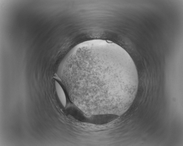 X0000058800031200510282115