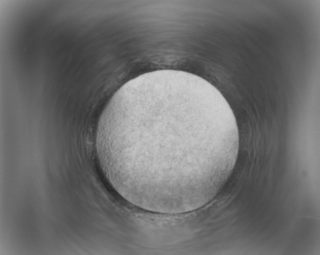 X0000058800040200510282115