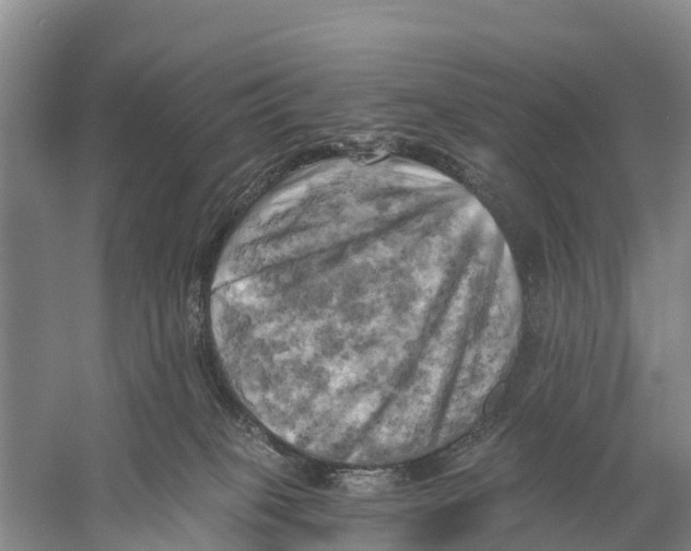 X0000058800085200510282115