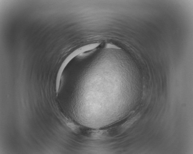 X0000058800096200510282115