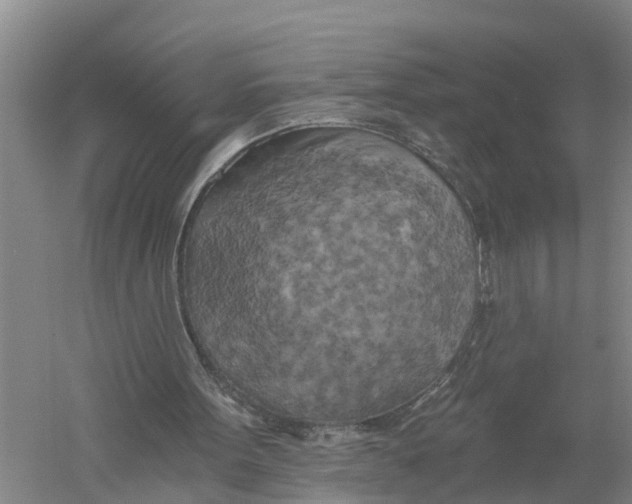 X0000058800099200510282114