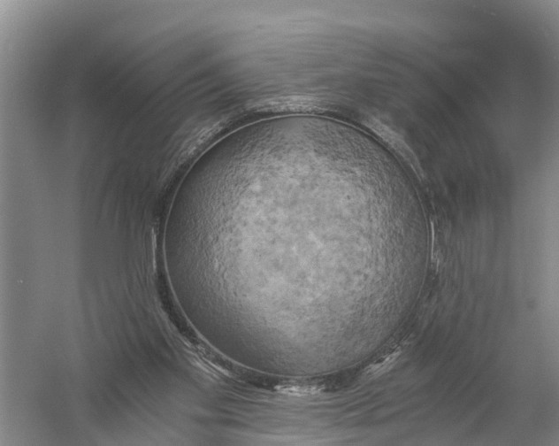 X0000058800109200510282114