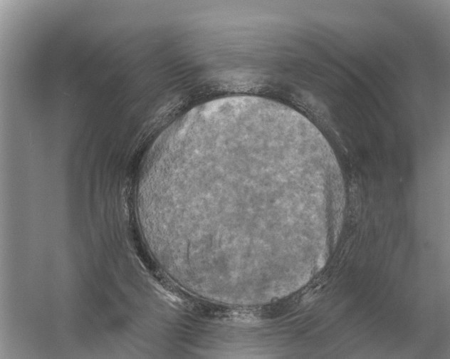 X0000058800114200510282114