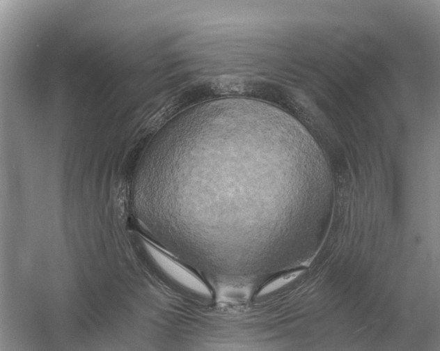 X0000058800125200510282114