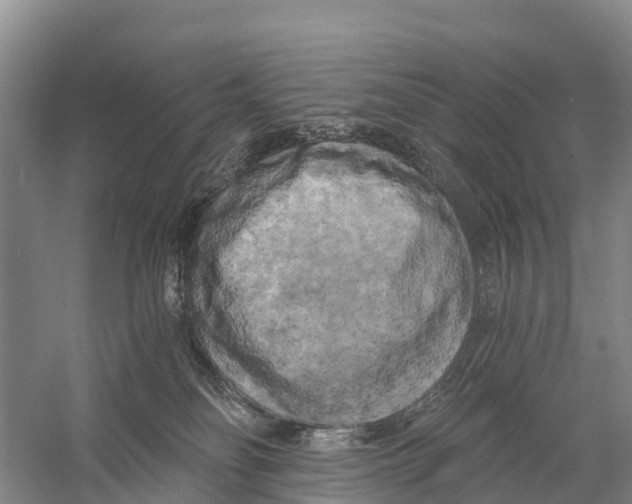 X0000058800134200510282113