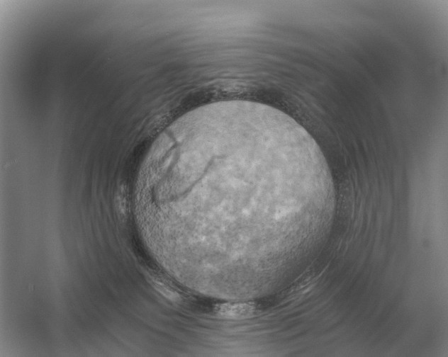 X0000058800135200510282113