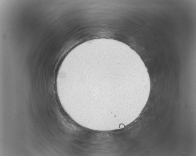 X0000058800146200510282112