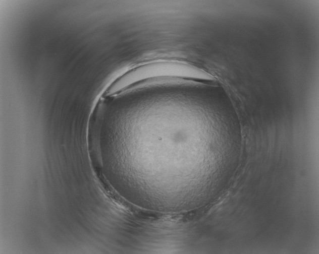 X0000058800148200510282112