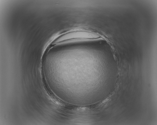 X0000058800152200510282113
