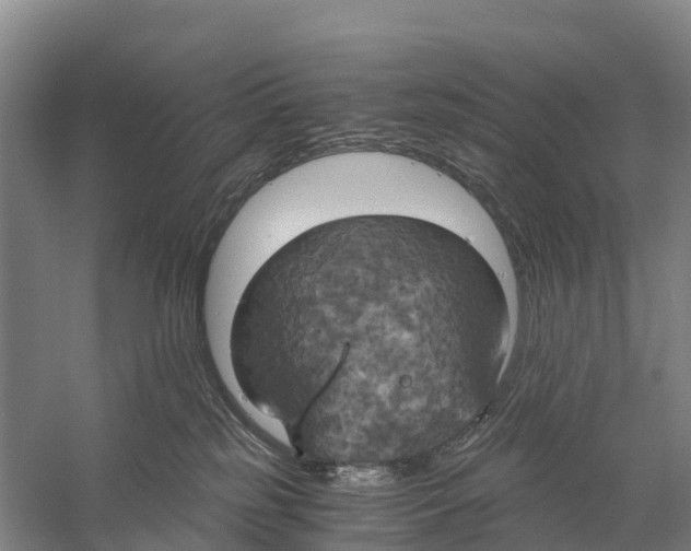 X0000058800185200510282113