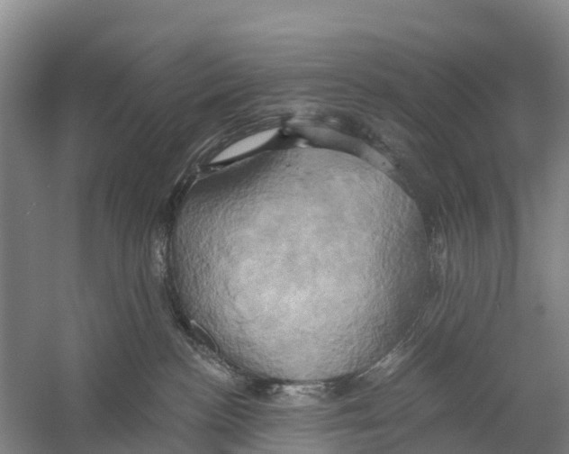 X0000058800188200510282113