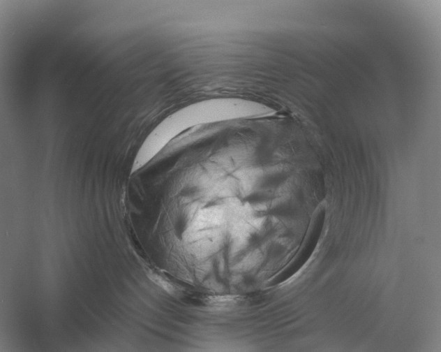 X0000058800192200510282113