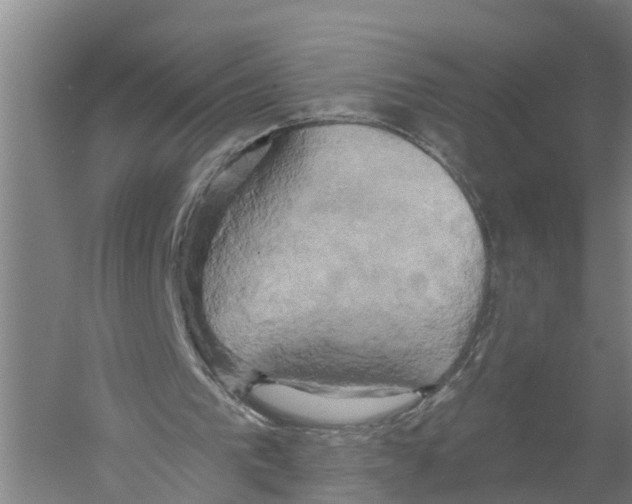 X0000058800193200510282112