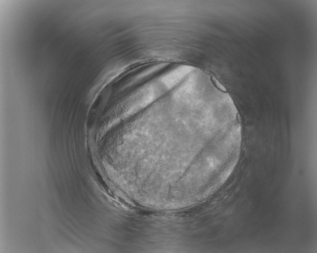 X0000058800194200510282112