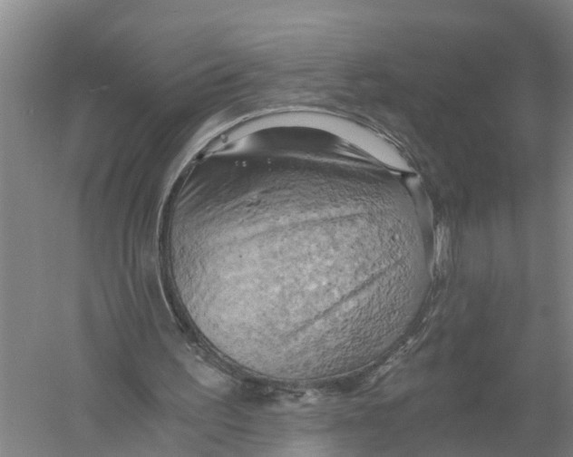 X0000058800195200510282112