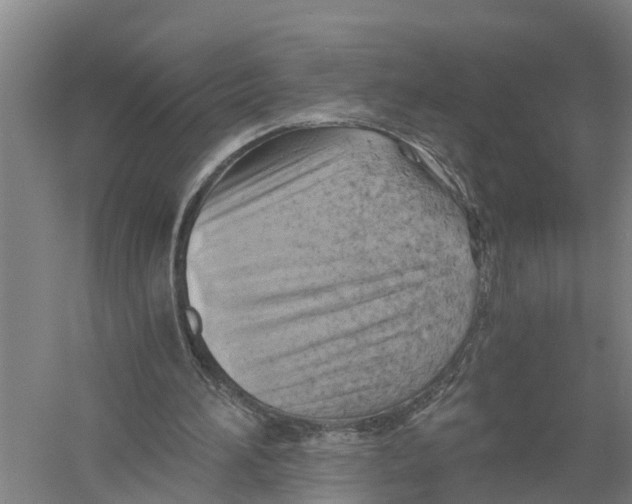 X0000058800196200510282112