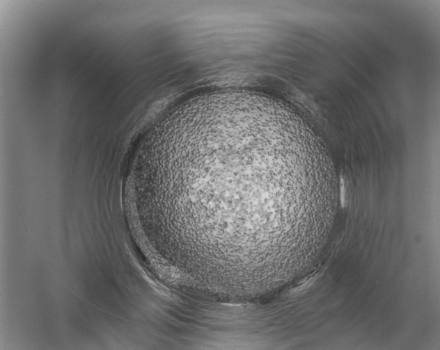 X0000058800205200510282112