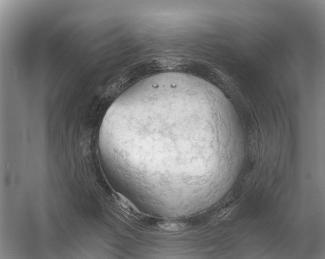 X0000058800221200510282112
