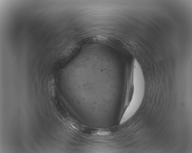 X0000058800223200510282112
