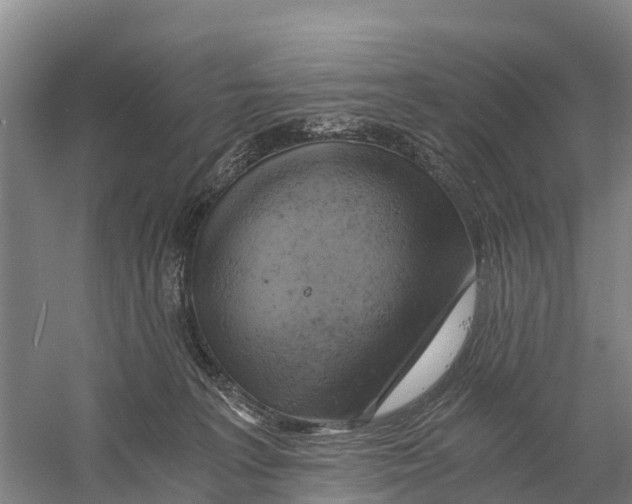 X0000058800227200510282112
