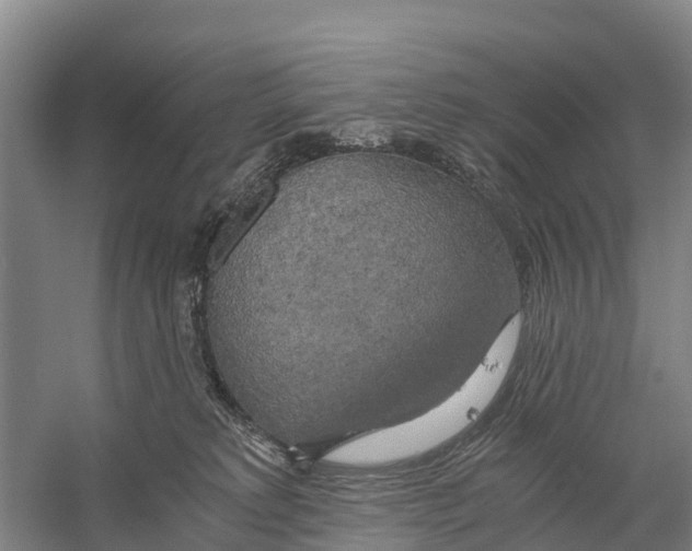 X0000058800229200510282112