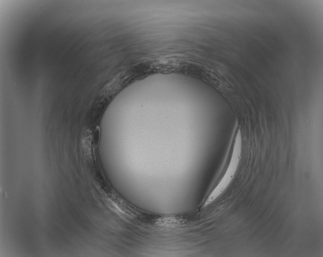 X0000058800231200510282112