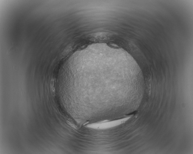 X0000058800232200510282112