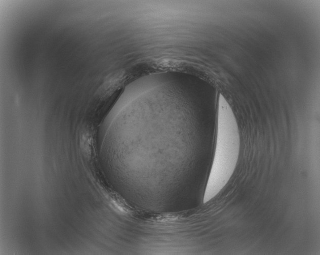 X0000058800235200510282112
