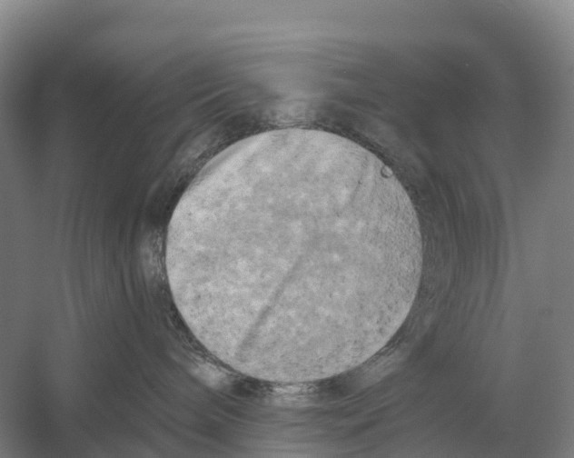X0000058800240200510282112