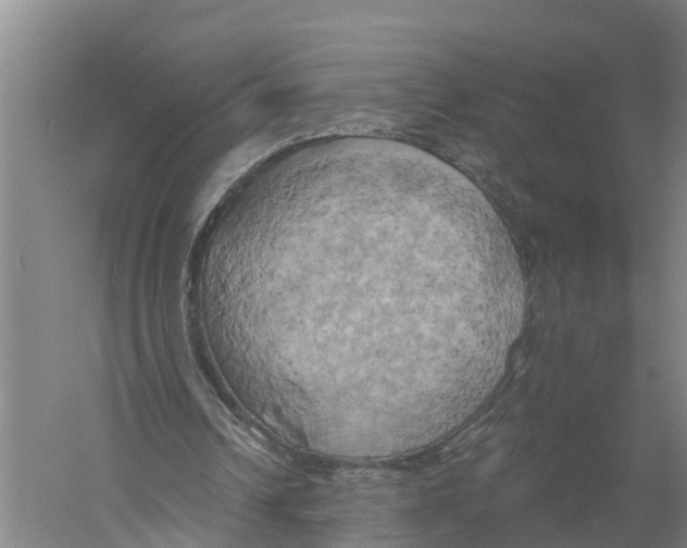 X0000058800242200510282111