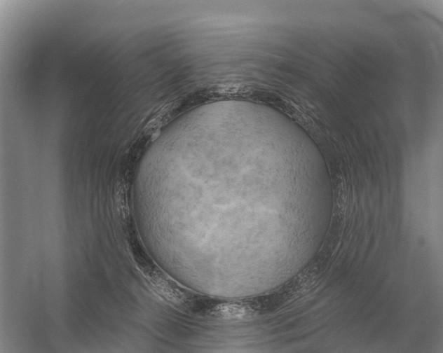 X0000058800272200510282111